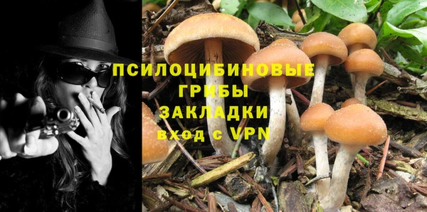 гидра Балашиха