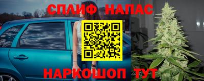 твердый Будённовск