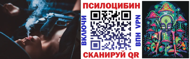 kraken   Бахчисарай  Псилоцибиновые грибы Psilocybe 