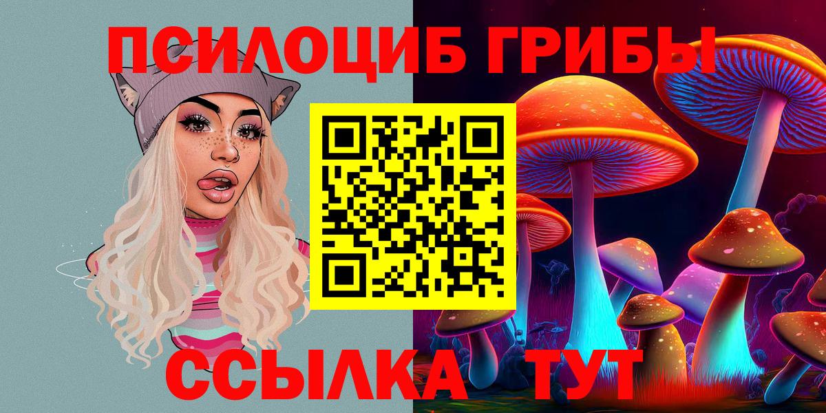 Псилоцибиновые грибы Psilocybe  Вход с VPN  Бахчисарай 